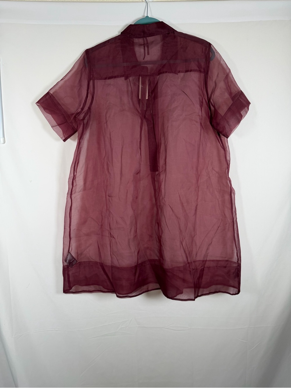NWT Anthropologie Pollie Swing Tunic - Sheer, Boho, Layering, Whimsical, Fairy - Picture 7 of 8
